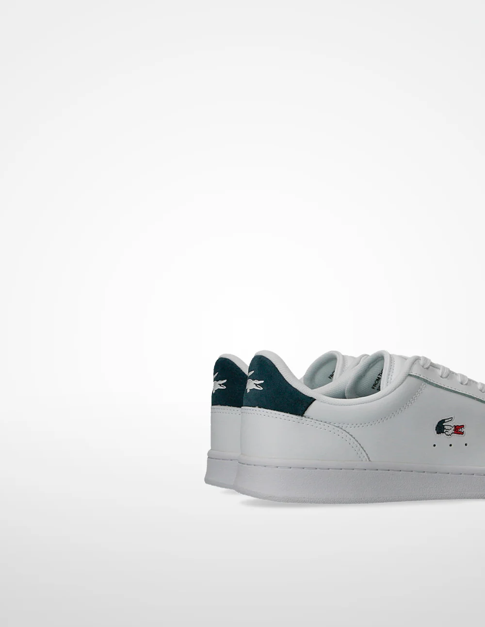 Lacoste Carnaby - Zapatillas - Image 4