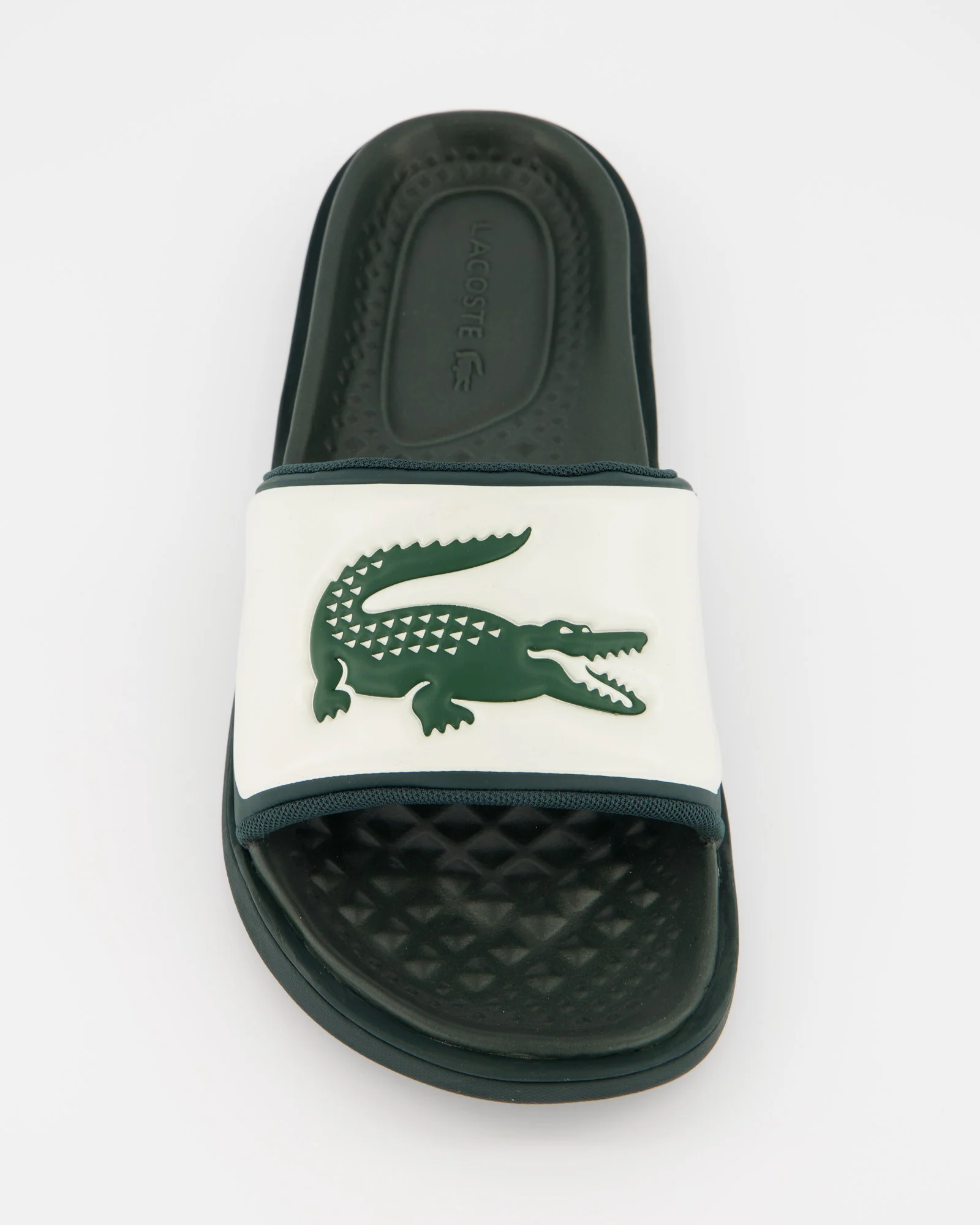Lacoste Croco Dualiste - Chanclas